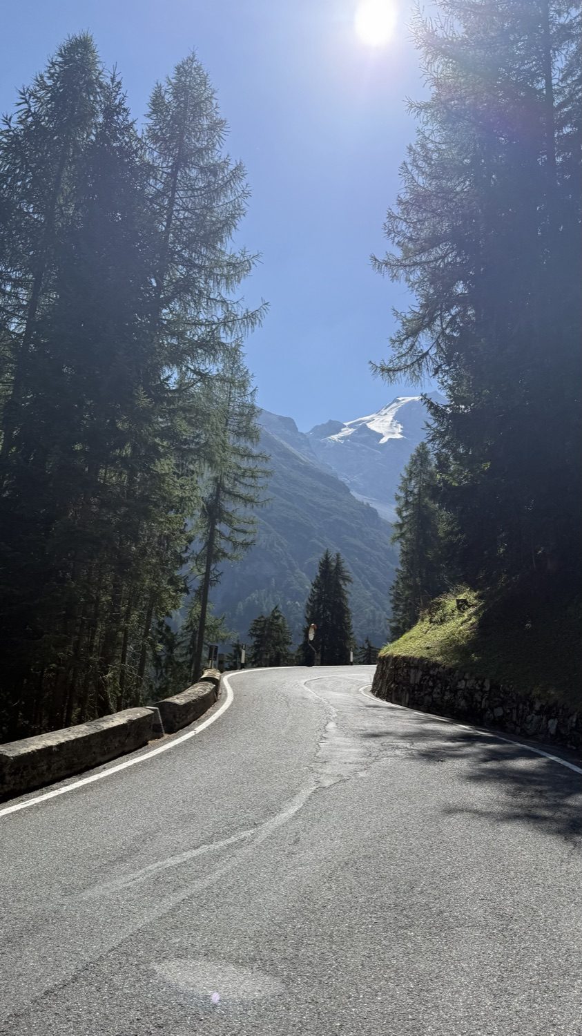 An empty alpine road bending between pine trees under a snowy peak
