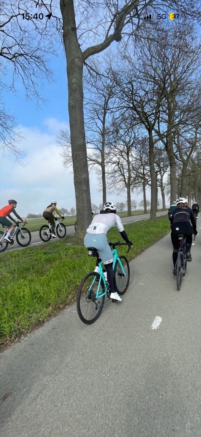 Riders on a tree-lined road in spring